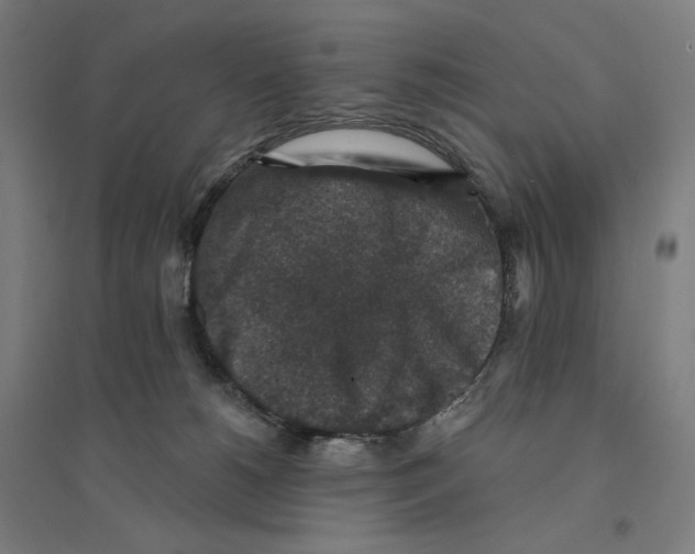 X0000094440180200712061146