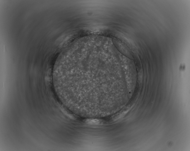 X0000094440181200712061146