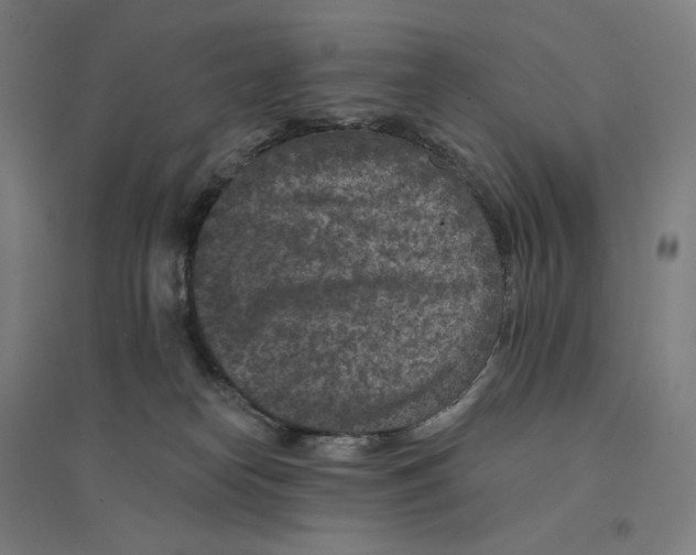 X0000094440182200712061146