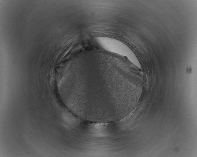 X0000094440184200712061146