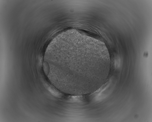 X0000094440188200712061146