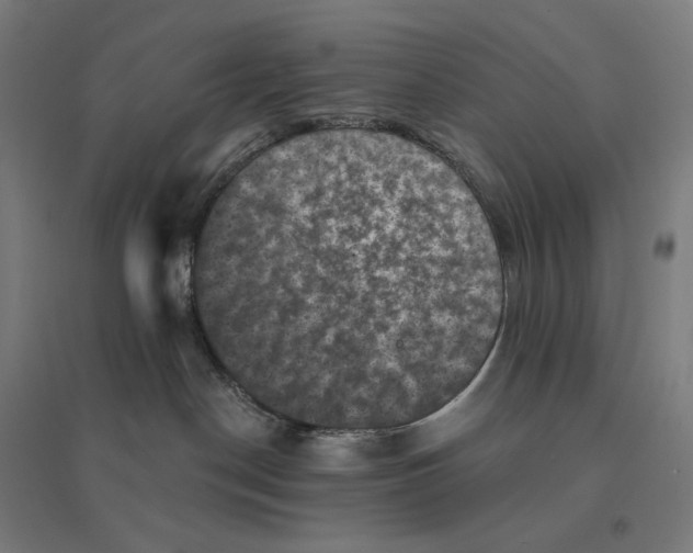 X0000094440190200712061146