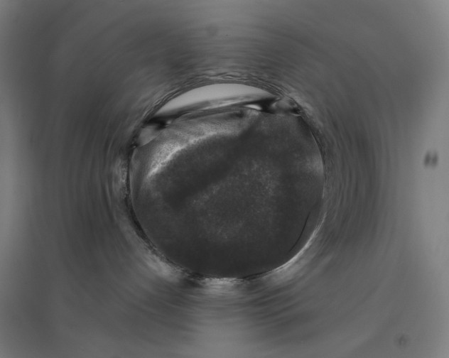 X0000094440192200712061146