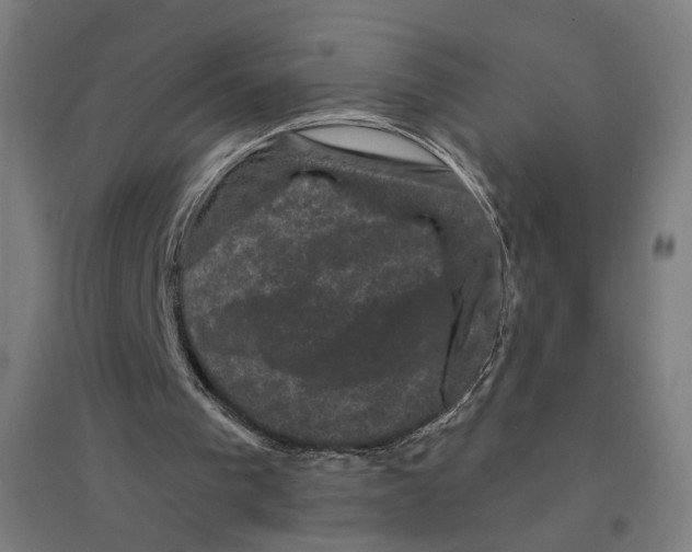 X0000094440193200712061146