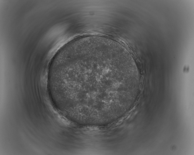 X0000094440194200712061146