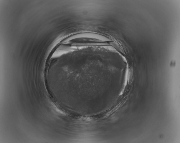 X0000094440195200712061146