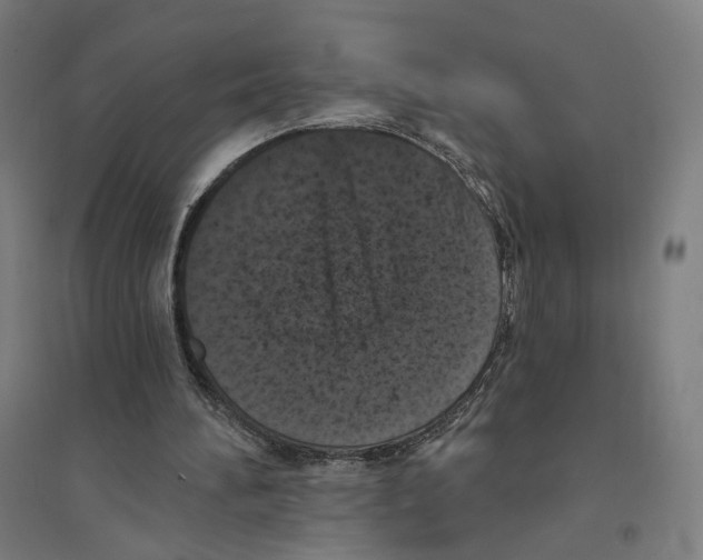 X0000094440196200712061146