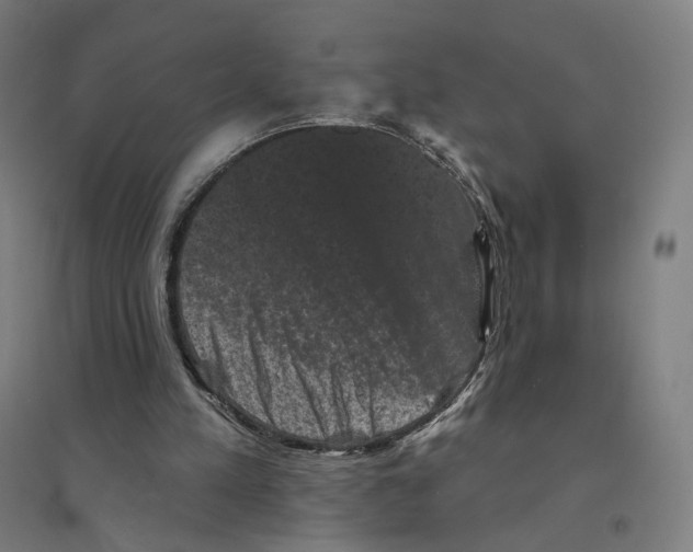 X0000094440197200712061146