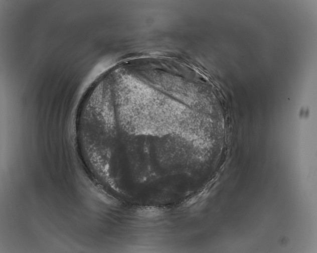 X0000094440198200712061146