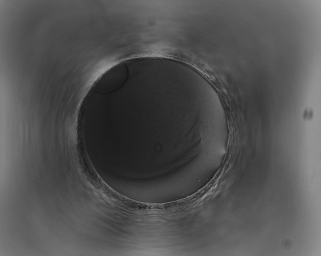 X0000094440200200712061146