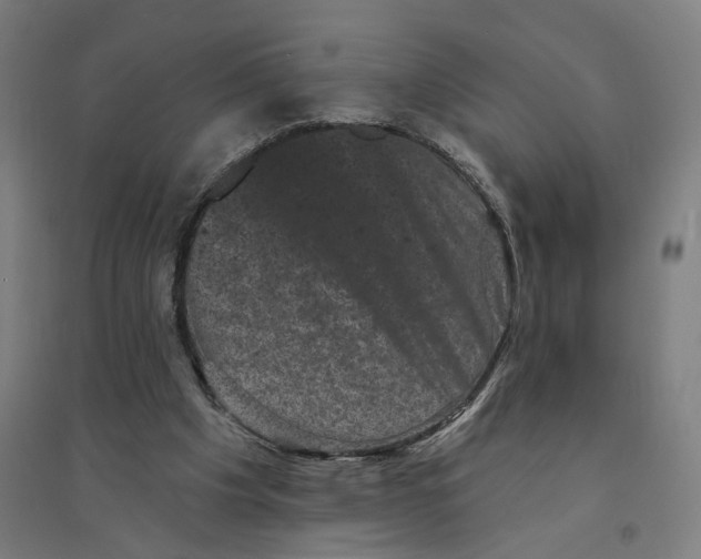 X0000094440201200712061146