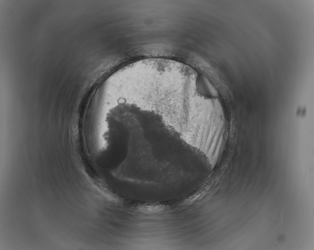 X0000094440202200712061146