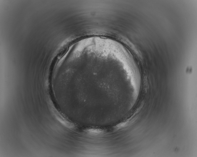 X0000094440203200712061146