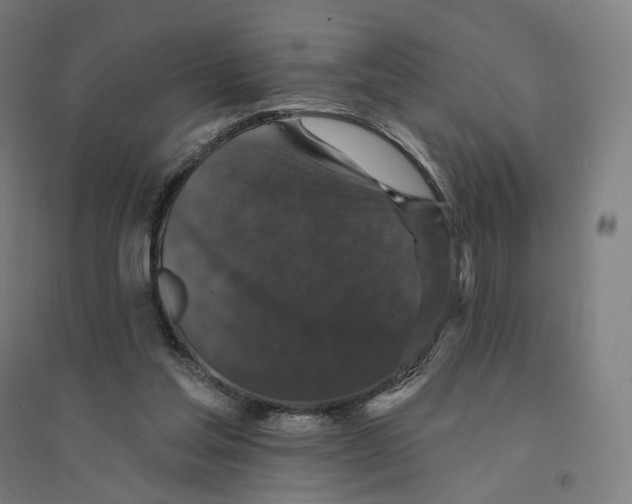 X0000094440205200712061146