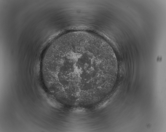 X0000094440206200712061146