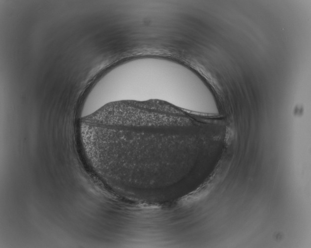 X0000094440207200712061146