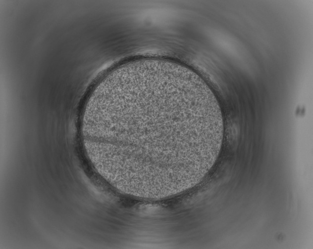 X0000094440208200712061146