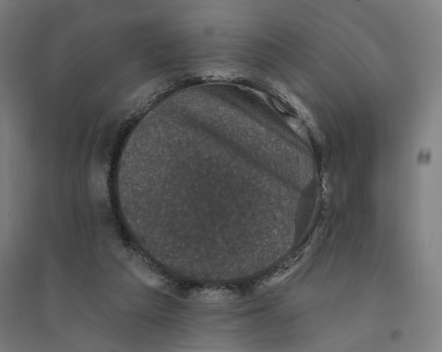 X0000094440209200712061146