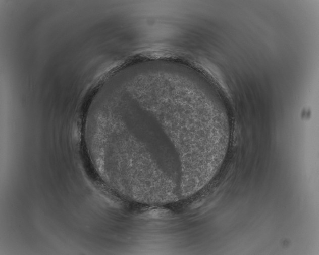 X0000094440210200712061146