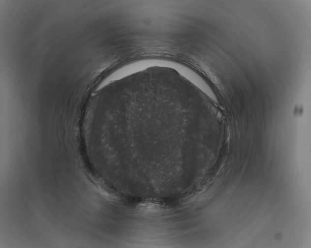 X0000094440211200712061146