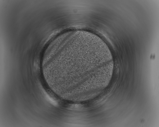 X0000094440212200712061146