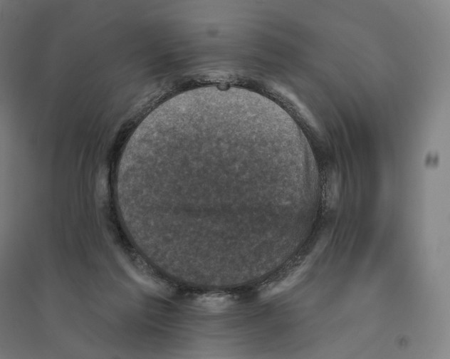 X0000094440213200712061146