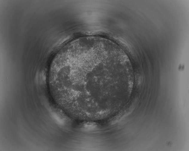 X0000094440214200712061146