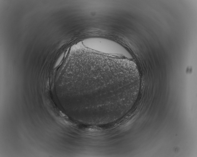 X0000094440215200712061146