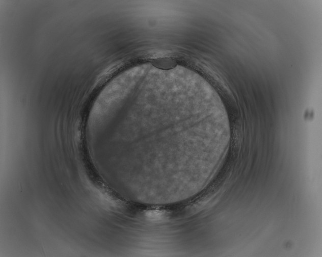 X0000094440216200712061146