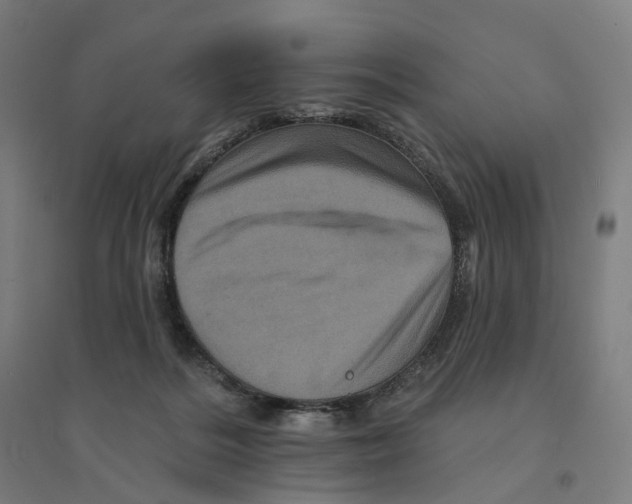 X0000094440220200712061145