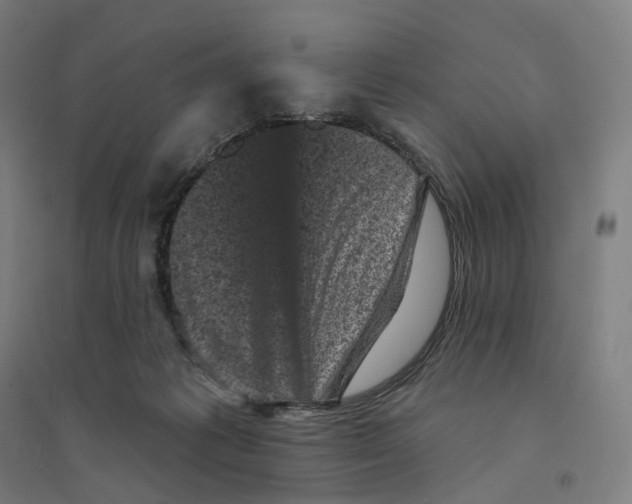 X0000094440221200712061145