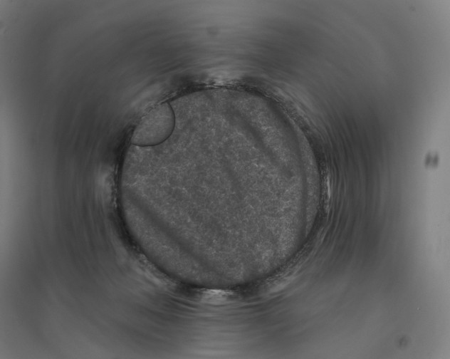 X0000094440222200712061145