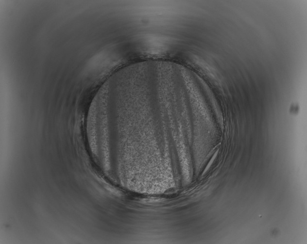 X0000094440225200712061145