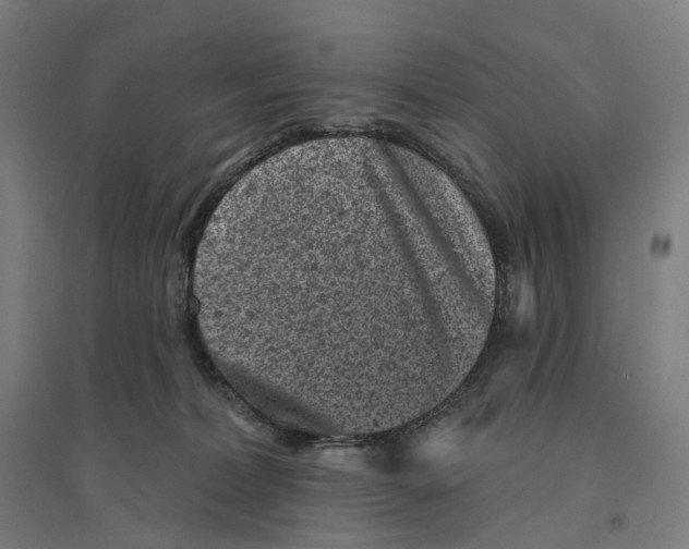 X0000094440228200712061145