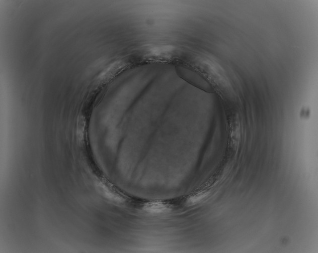 X0000094440231200712061145