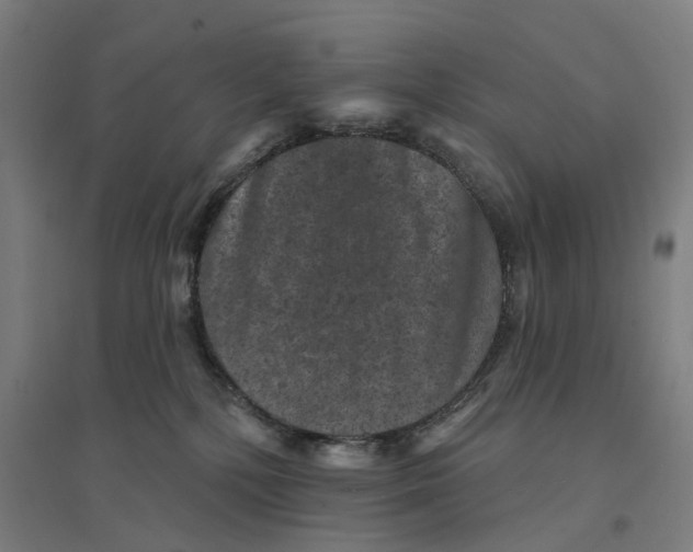 X0000094440232200712061145