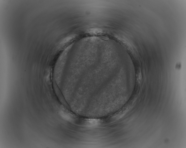 X0000094440233200712061145