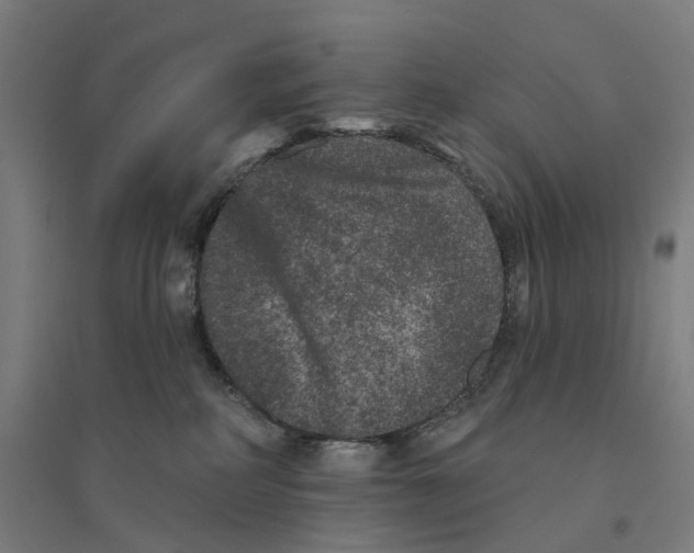 X0000094440234200712061145