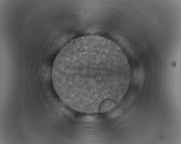 X0000094440236200712061145