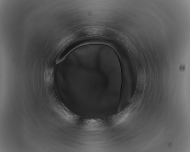 X0000094440239200712061145