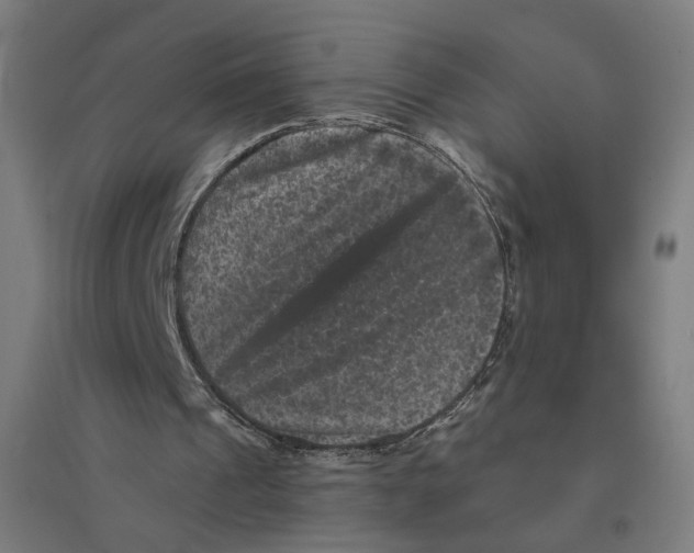 X0000094440241200712061144