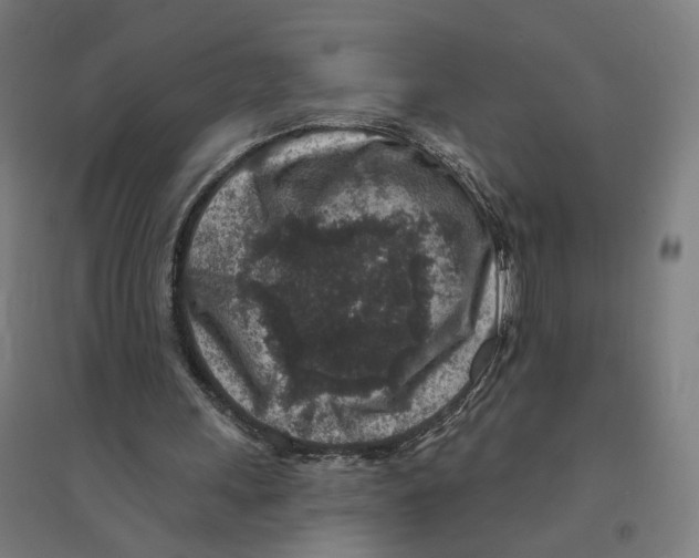 X0000094440243200712061144