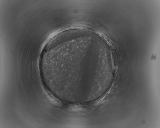 X0000094440244200712061144