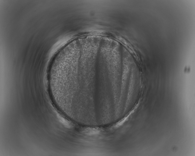 X0000094440245200712061144