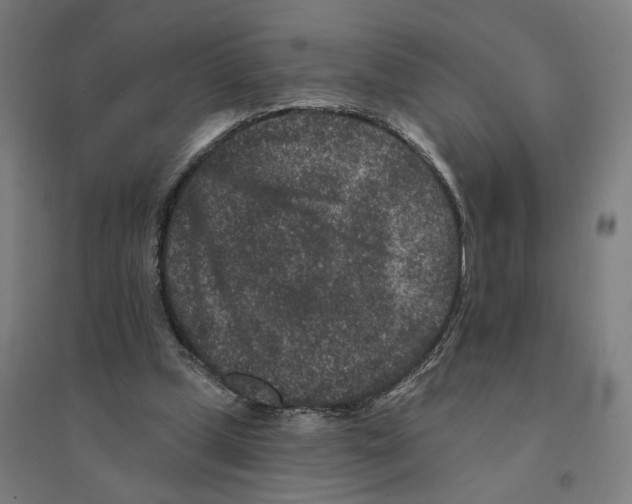 X0000094440249200712061144