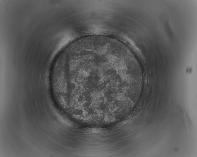 X0000094440250200712061144