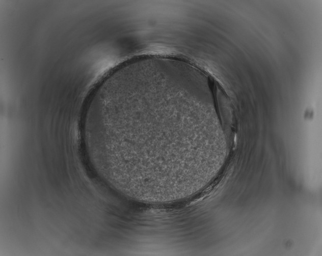 X0000094440252200712061145