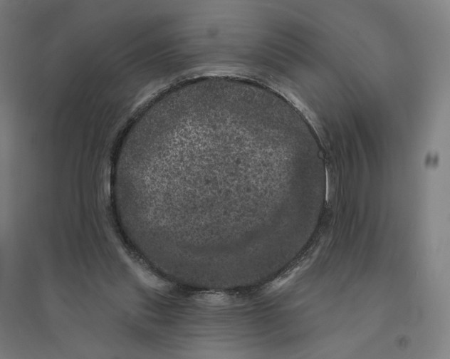 X0000094440253200712061145