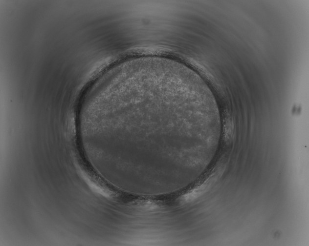 X0000094440254200712061145