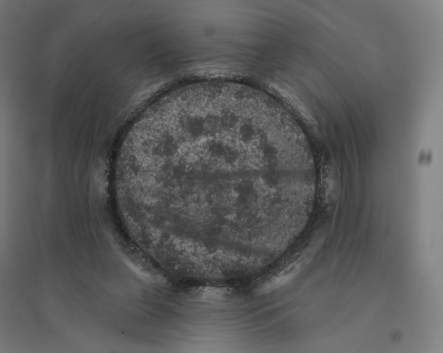 X0000094440255200712061145